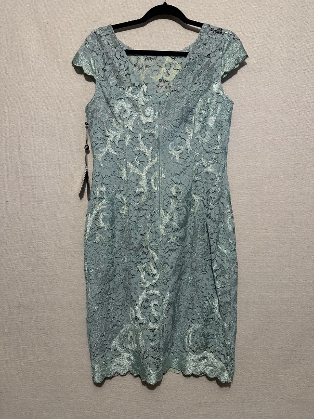 NWT Adrianna Papell Embroidered Lace Sheath - size 10 - Picture 4 of 6